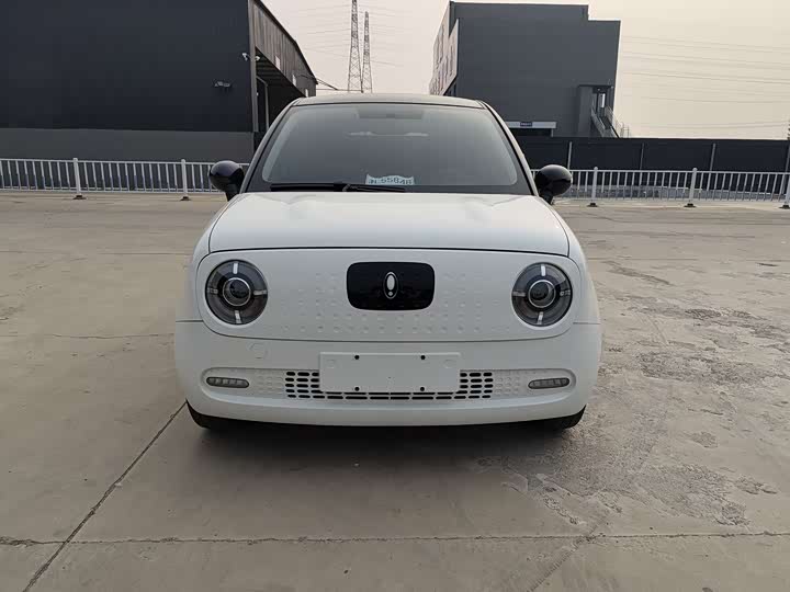 Ora Black Cat 2022 2022款 351km 豪华型 三元锂