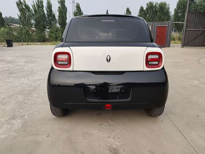 Ora Black Cat 2022 2022款 351km 豪华型 三元锂