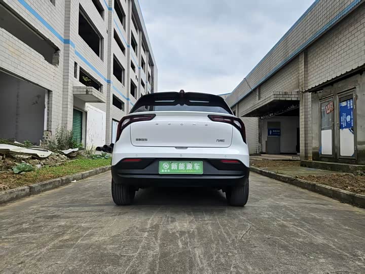 2024 Geely Geometry E Firefly