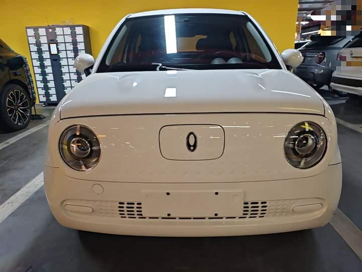 Ora Black Cat 2022 2022款 301km 萌动型 磷酸铁锂