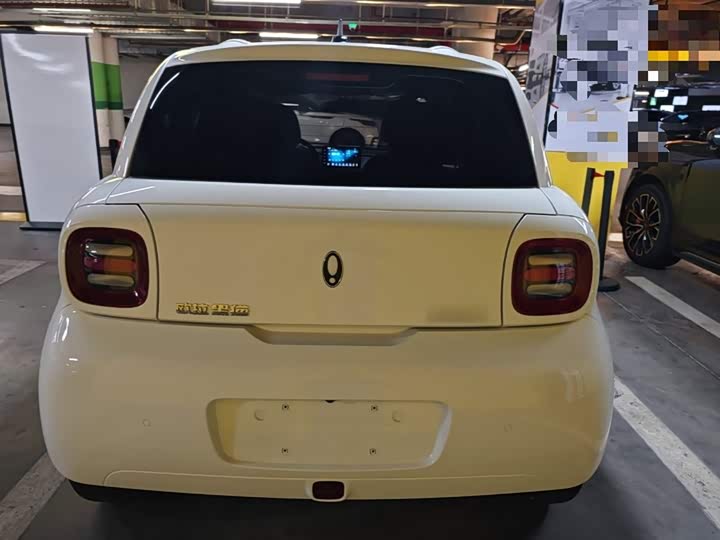 Ora Black Cat 2022 2022款 301km 萌动型 磷酸铁锂