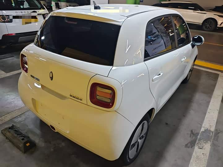 Ora Black Cat 2022 2022款 301km 萌动型 磷酸铁锂