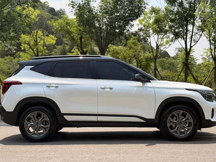 Kia Seltos 2023 2023款 1.5L CVT豪华版