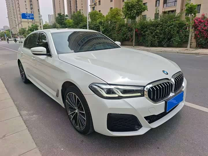 Zdjęcie 3 - BMW 5 Series