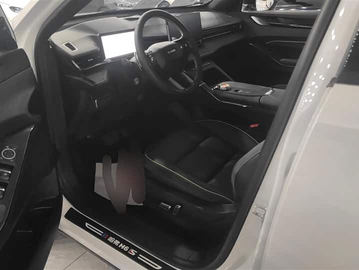 Haval H6S 2022 2022款 2.0T 两驱悦跑版