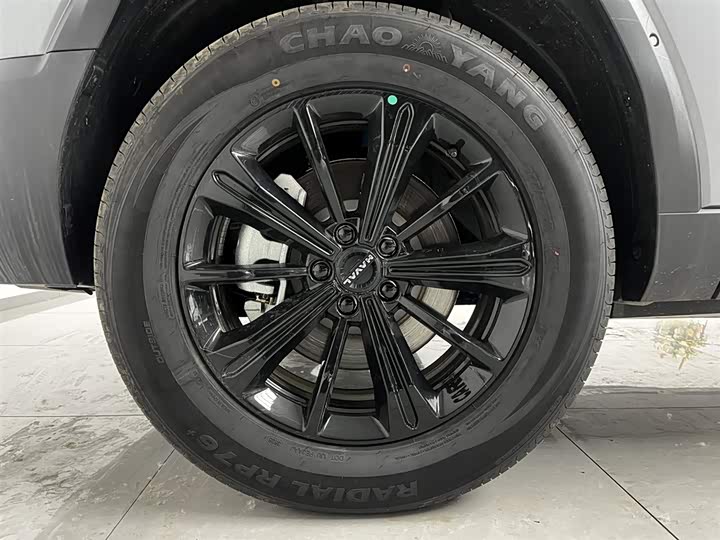 Haval Raptor Hybrid 2026 2026款 Hi4 150 Pro 磷酸铁锂