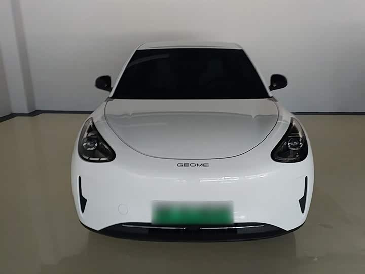 Geely Galaxy Geome 2026 2026款 310km 青春版