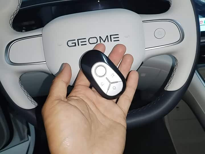 Geely Galaxy Geome 2026 2026款 310km 青春版