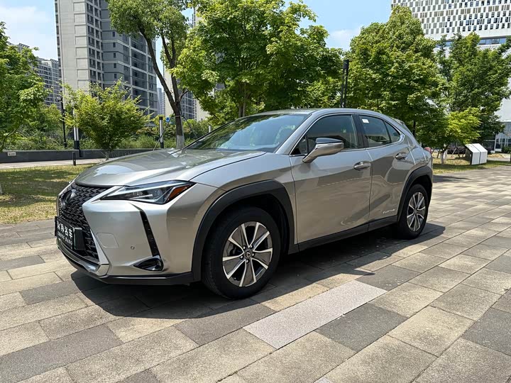 Lexus UX Hybrid 2020 2020款 300e 纯·悦版