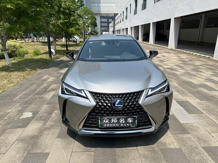 Lexus UX Hybrid 2020 2020款 300e 纯·悦版