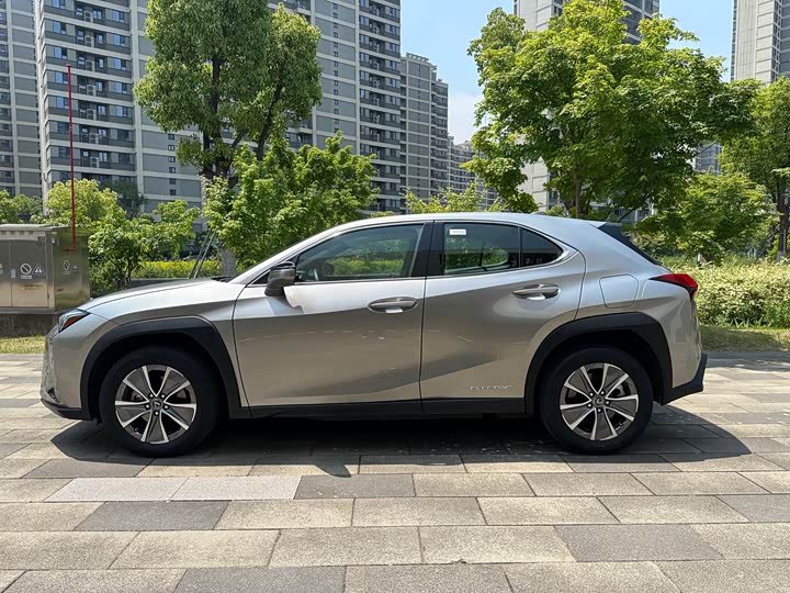 Lexus UX Hybrid 2020 2020款 300e 纯·悦版