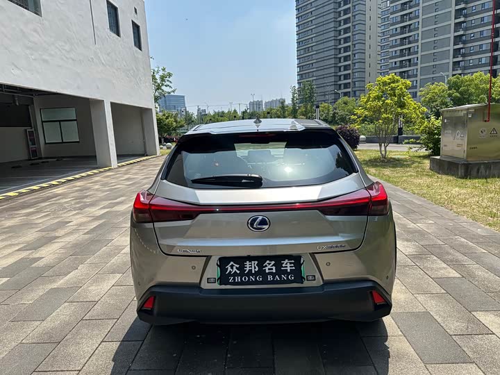 Lexus UX Hybrid 2020 2020款 300e 纯·悦版