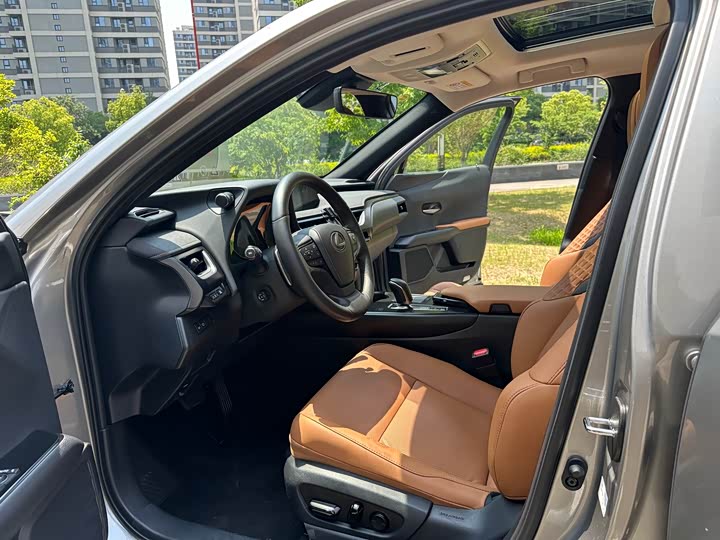 Lexus UX Hybrid 2020 2020款 300e 纯·悦版