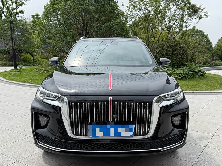 Photo 3 - Hongqi HS5