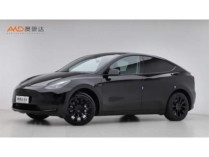Tesla Model Y 2022 2022款 改款 后轮驱动版