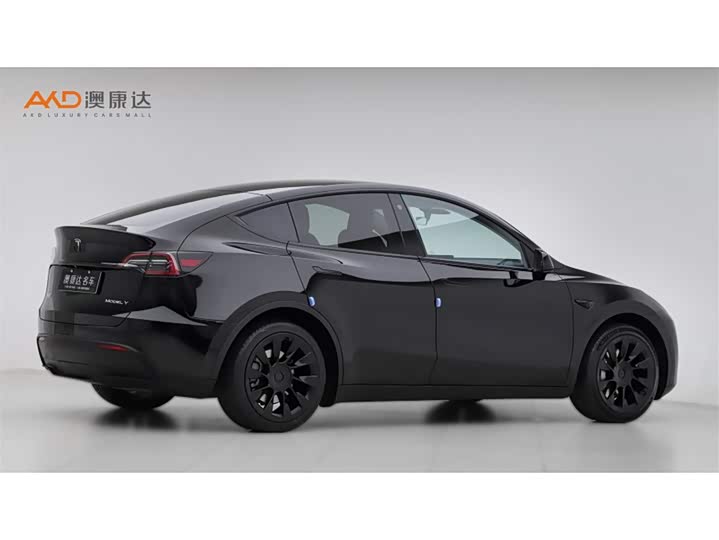 Tesla Model Y 2022 2022款 改款 后轮驱动版