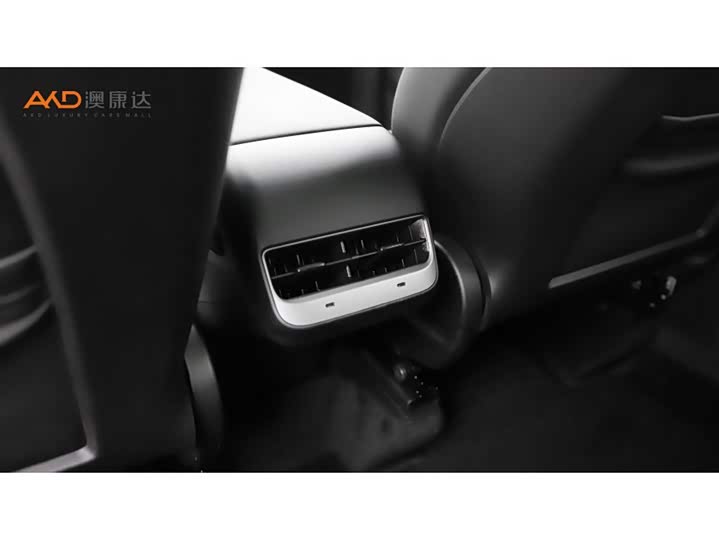 Tesla Model Y 2022 2022款 改款 后轮驱动版