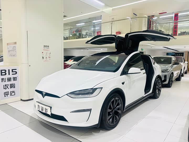 2023 Tesla Model X