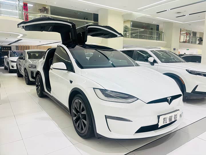 2023 Tesla Model X