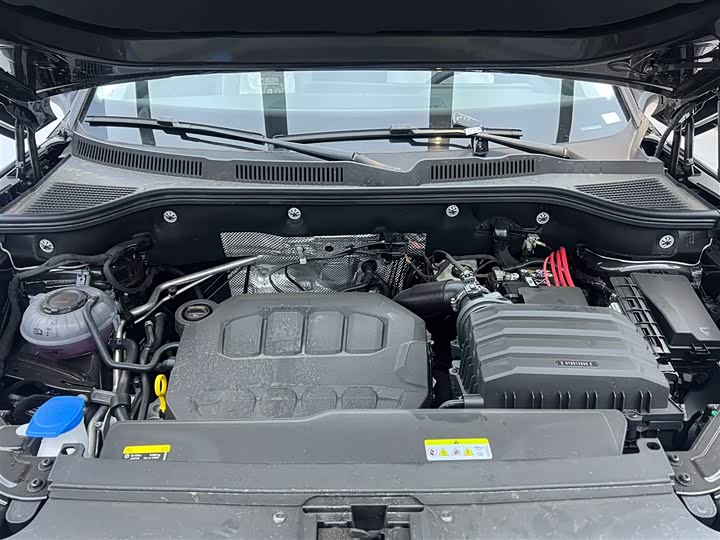 Volkswagen Tavendor 2025 2025款 330TSI 豪华巡逸 众享款