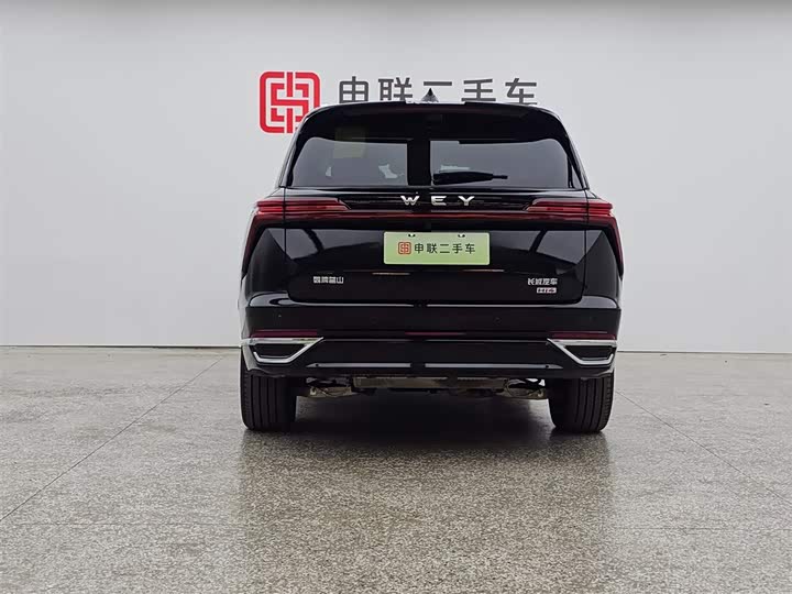 Wey Lanshan 2025 2025款 四驱 Max