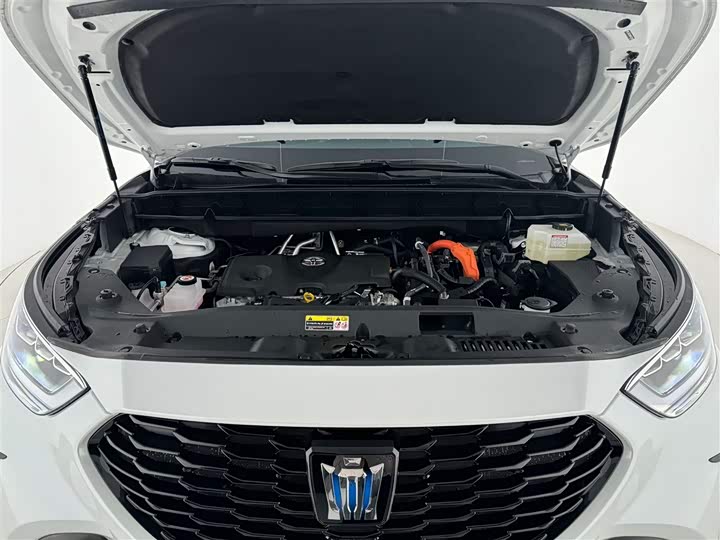 Toyota Crown Kluger 2024 2024款 2.5L HEV四驱豪华版