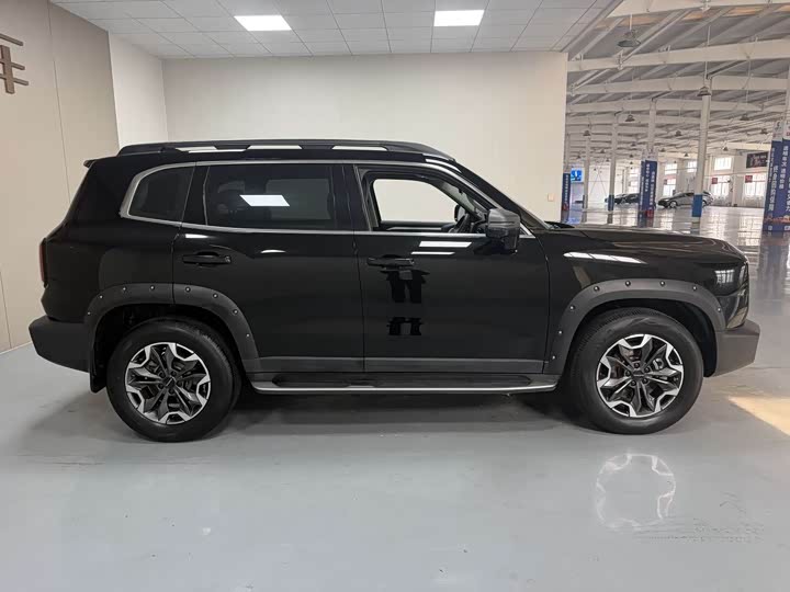Фото 8 - Haval Dargo