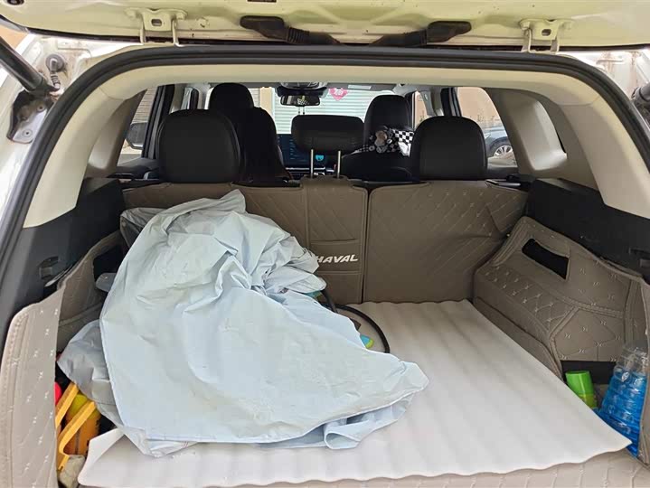 Haval H-Dog Hybrid 2023 2023款 DHT-PHEV 105km 潮电版Plus
