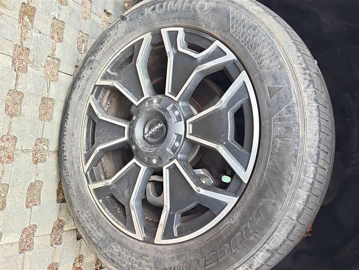 Haval H-Dog Hybrid 2023 2023款 DHT-PHEV 105km 潮电版Plus