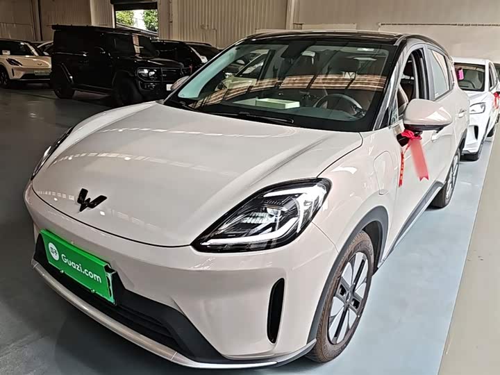 Wuling Bingo S 2025 2025款 325km 尊享款