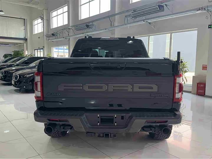 Фото 6 - Ford F-150 Raptor