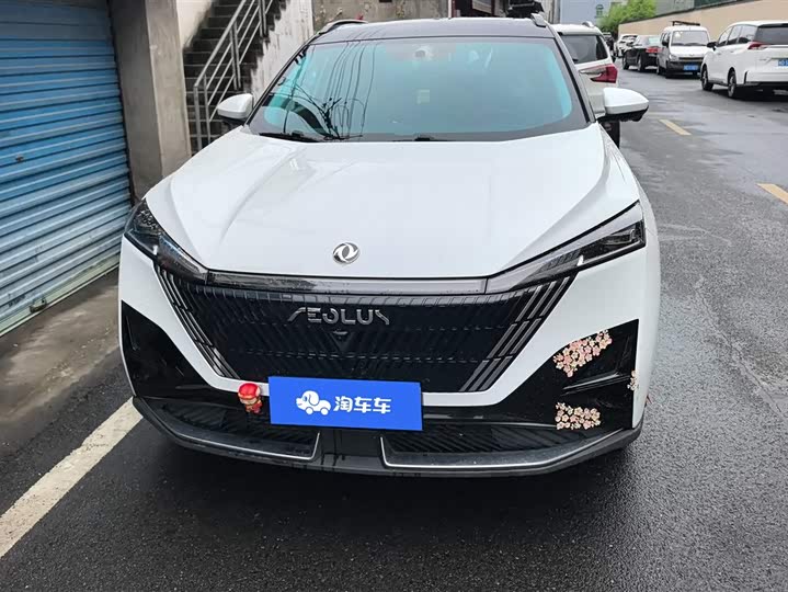 Dongfeng Aeolus Haohan 2023 2023款 1.5T 豪华版