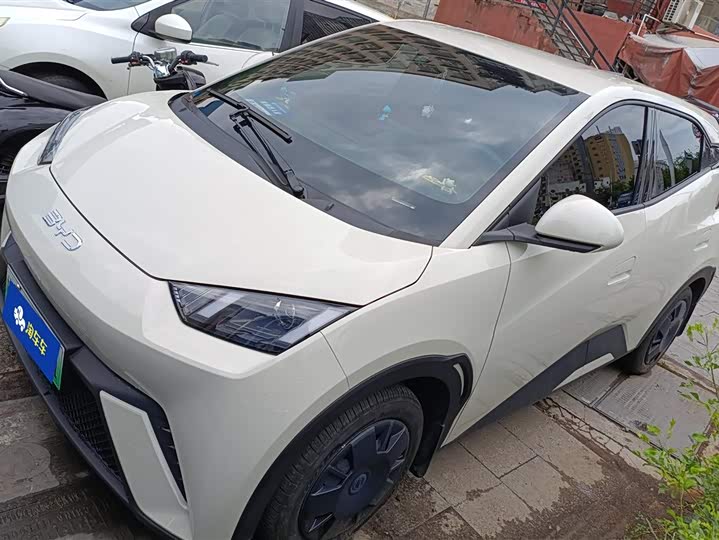 2025 BYD Seagull