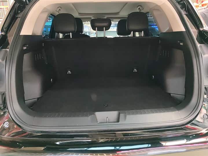 Haval H-Dog Hybrid 2023 2023款 DHT-PHEV 105km 潮电版Plus