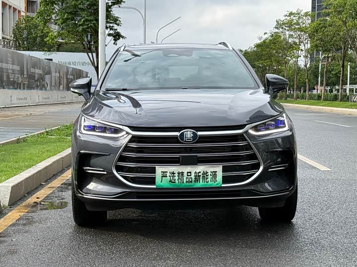 Фото 2 - BYD Tang Hybrid/EV