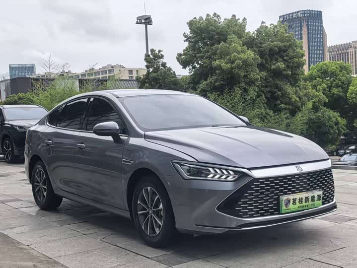 Фото 3 - BYD Qin Plus