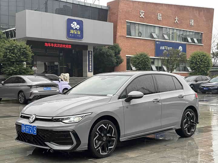 Volkswagen Golf 2025 2025款 300TSI R-Line