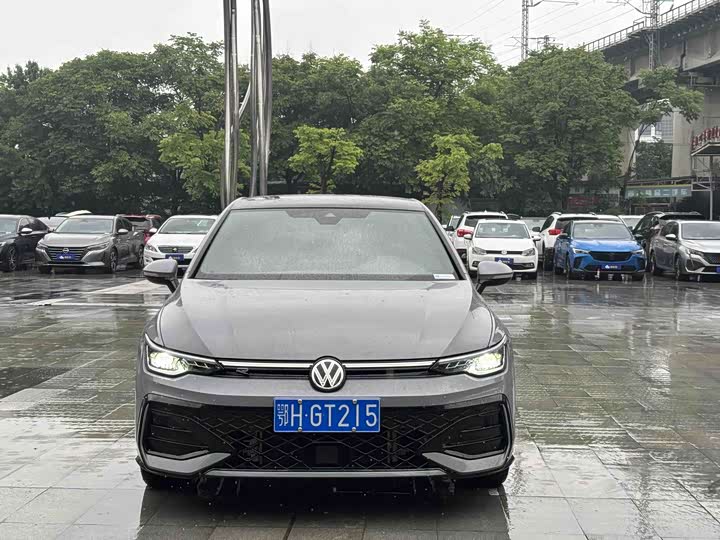 Volkswagen Golf 2025 2025款 300TSI R-Line