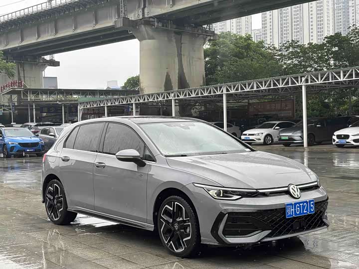 Volkswagen Golf 2025 2025款 300TSI R-Line