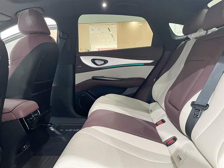 BYD Seal 07 DM-i Hybrid 2025 2025款 智驾版 DM-i 1.5L 125km 尊贵型