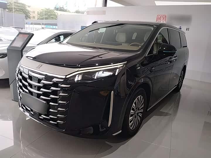 BYD Xia 2025 2025款 DM-i 1.5T 180km 卓越型