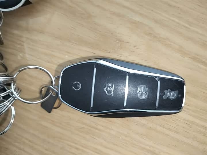 BYD Xia 2025 2025款 DM-i 1.5T 180km 卓越型