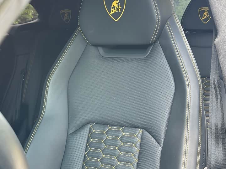 Lamborghini Urus 2021 2021款 4.0T V8