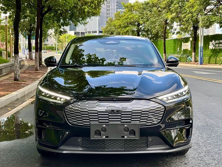 Ford Mustang Mach-E 2021 2021款 跃世后驱版(标准续航)