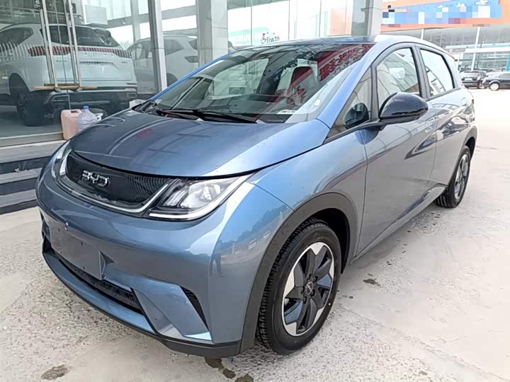 BYD Dolphin 2025 2025款 420km 自由版