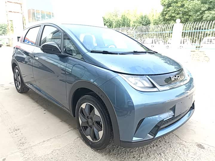 BYD Dolphin 2025 2025款 420km 自由版