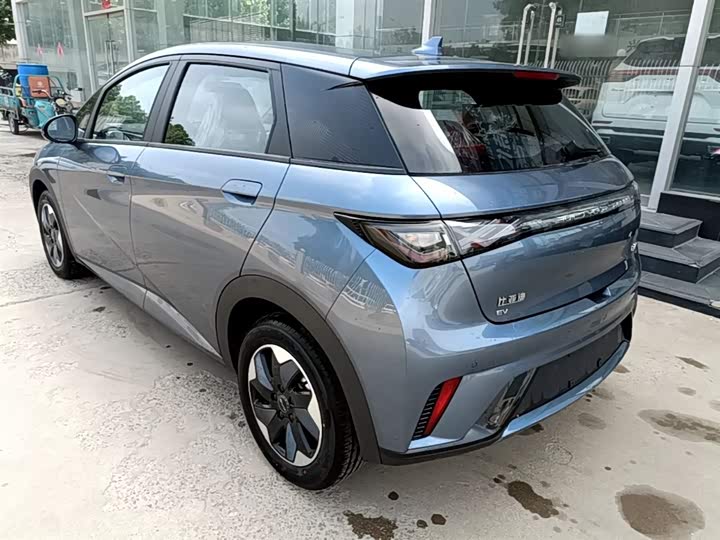 BYD Dolphin 2025 2025款 420km 自由版