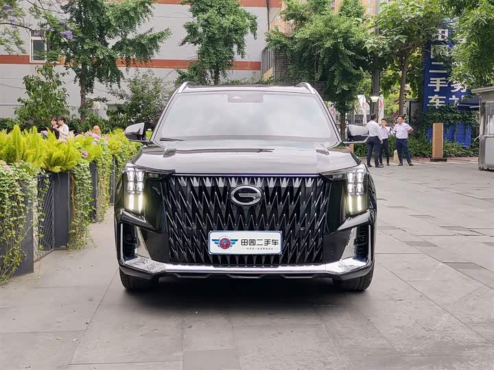 GAC Trumpchi GS8 2022 2022款 双擎系列 2.0TM 四驱尊贵版 （七座）
