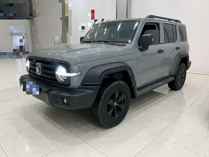 2025 Tank 300