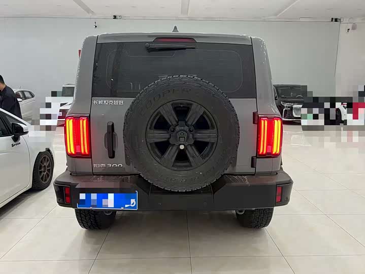 2025 Tank 300